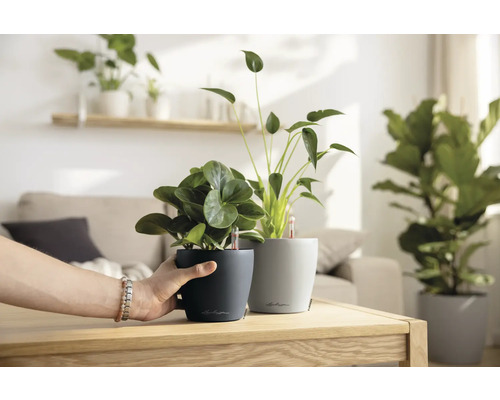 Zwei Lechuza Blumentöpfe mit Pflanzen auf einem Tisch in einem hellen Raum.