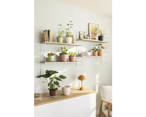 Zwei Regale mit Pflanzen, Büchern und Dekorationen im Wohnzimmer