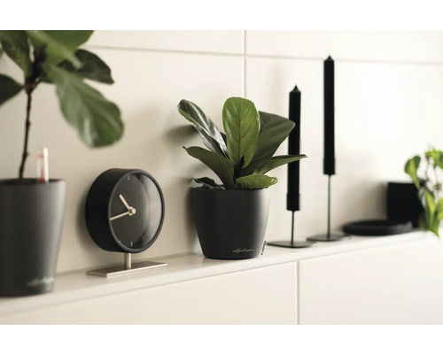 Dekorative Innenraumszene mit Pflanzen, einer Uhr und Kerzen