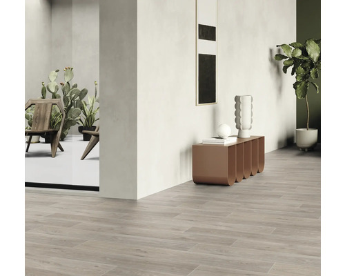 Intérieur avec carrelage de sol aspect bois, commode, plante d''intérieur et décoration