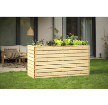 Jardinière surélevée en bois avec plants de salade dans le jardin