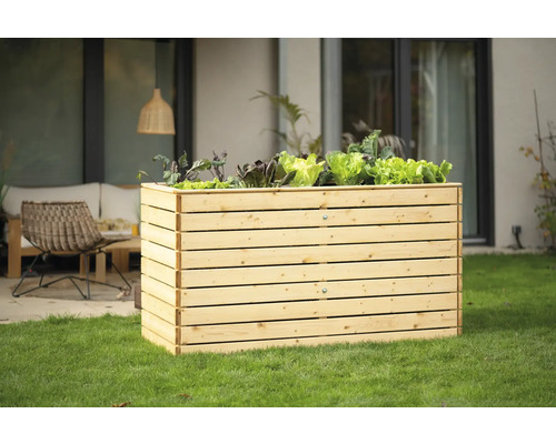 Jardinière surélevée classique WESTMANN Asket XL 160 x 70 x 90 cm naturel Jardinière surélevée en bois avec plants de salade dans le jardin