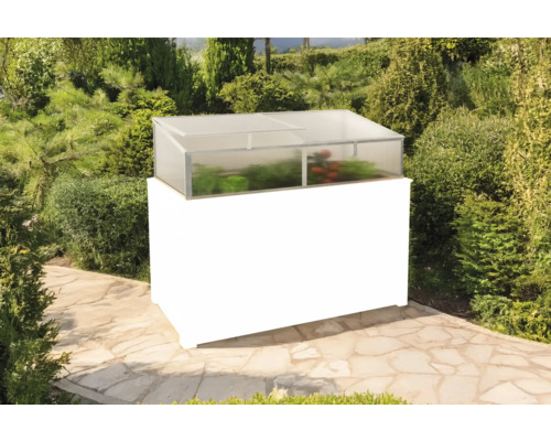 Jardinière surélevée avec châssis de couche dans le jardin