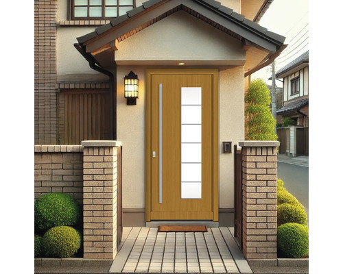 Haustür mit Glaseinsatz in Fassade