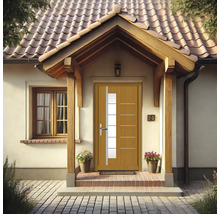 Hausfassade mit Haustür aus Holz und Glaselementen