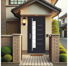 Porte d''entrée moderne avec éléments en verre dans une façade de maison