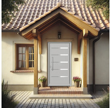 Espace d''entrée d''une maison avec une porte d''entrée grise moderne avec des inserts en verre horizontaux