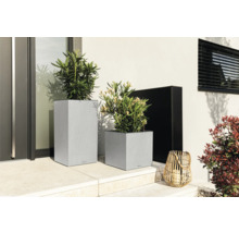 Photo extérieure avec deux bacs à plantes gris de différents formats et plantations sur une terrasse.