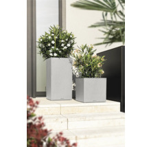 Deux bacs à plantes gris en forme de cube et de colonne avec plantation sur un escalier en pierre