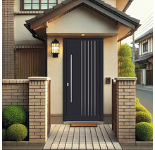 Porte d''entrée avec éléments décoratifs verticaux et poignée