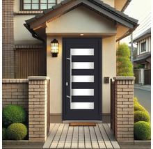 Porte d''entrée avec inserts en verre et poignée en acier inoxydable dans la façade de la maison