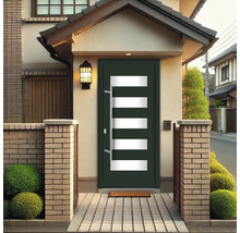 Porte d''entrée avec inserts en verre et poignée en acier inoxydable