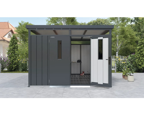 Abri de jardin métallique avec porte ouverte et vue sur l''intérieur