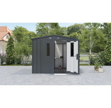Abri de jardin en métal avec porte et fenêtre ouvertes