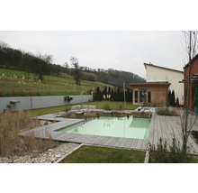 Jardin naturel avec bassin de baignade, terrasse en bois et petite maison de jardin