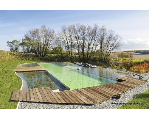 Bassin de baignade naturel avec ponton en bois dans un environnement rural