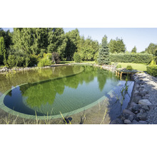 Baignade naturelle avec pierres et plantations dans le jardin