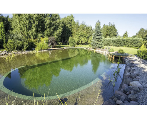 Baignade naturelle avec pierres et plantations dans le jardin