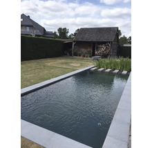 Scène de jardin avec bassin, pelouse et maison en bois