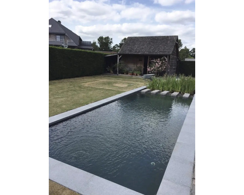 Scène de jardin avec bassin, pelouse et maison en bois