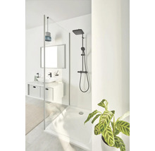Salle de bain avec douche, lavabo, miroir et plante