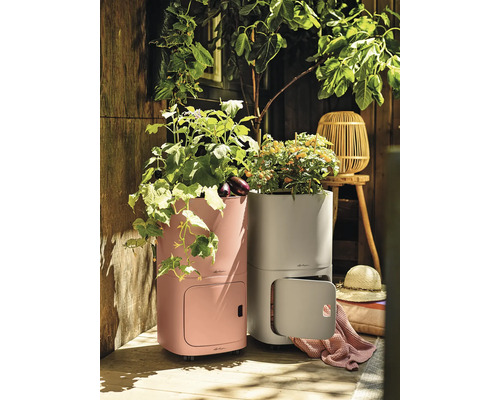 Zwei Pflanzgefäße mit Gemüse auf einer Terrasse.