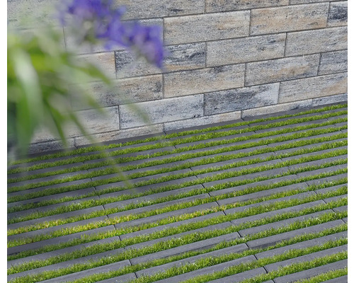 Dalles alvéolées en béton avec végétation devant un mur