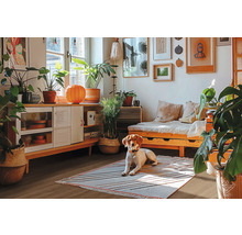 Salon avec lit de jour, commode, plantes d''intérieur et chien sur un tapis