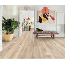 Pièce claire avec parquet, banc avec chien et plante d''intérieur en pot