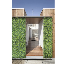 Mur végétal décoratif vert à l''entrée d''une maison avec plancher en bois