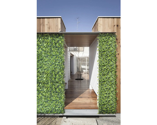 Mur végétal décoratif vert à l''entrée d''une maison avec plancher en bois