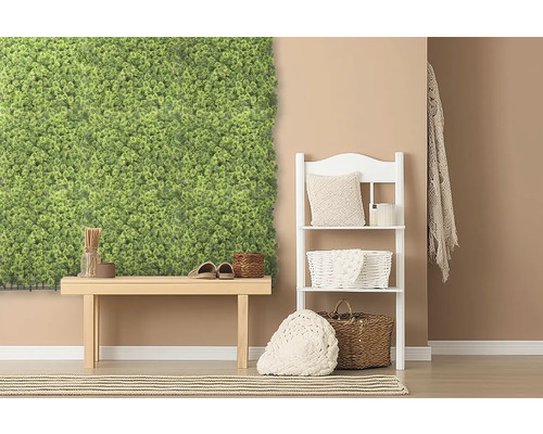 Intérieur décoratif avec mur de mousse, banc et étagère