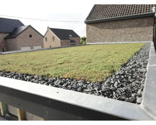 Ansicht eines begrünten Daches mit Kiesumrandung