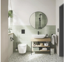 Modernes Badezimmer mit Waschtisch, Spiegel, Toilette und Dekor