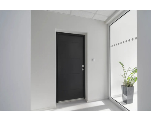 Innenraum mit Tür, Pflanze und Fenster für ein helles Ambiente