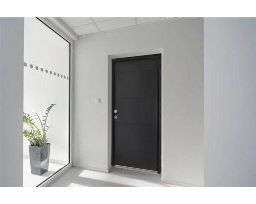 Hall d''entrée avec une porte d''entrée et une plante d''intérieur en pot.