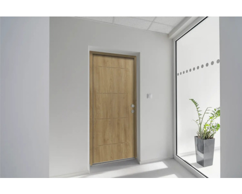 Espace d''entrée avec porte intérieure avec habillage d''huisserie et grande fenêtre