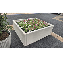 Quadratischer Pflanzkübel aus Beton mit Blumenbepflanzung