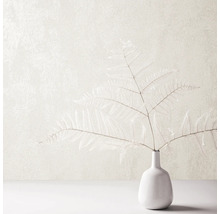 Plante d''intérieur décorative fougère dans un vase