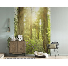 Fototapete Vlies SH019-VD2 Stefan Hefele Ed. 1 Reedwood 2-tlg. 200 x 250 cm