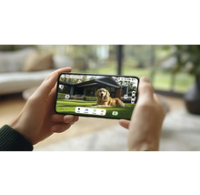 Une personne tient un smartphone affichant un chien dans un jardin.