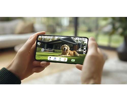 Une personne tient un smartphone affichant un chien dans un jardin.