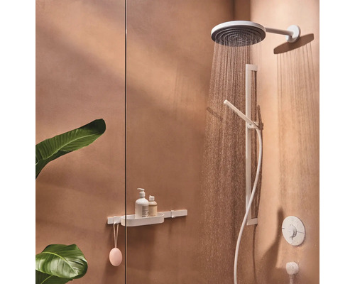 Duschszene mit Kopfbrause, Handbrause, Brausestange und Ablage