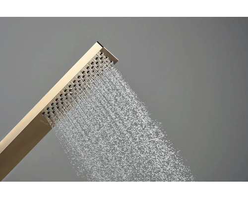 Duschkopf mit Wasserstrahl