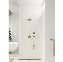 Salle de bain avec douche, pomme de douche et douchette