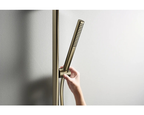 Duschstange mit Handbrause