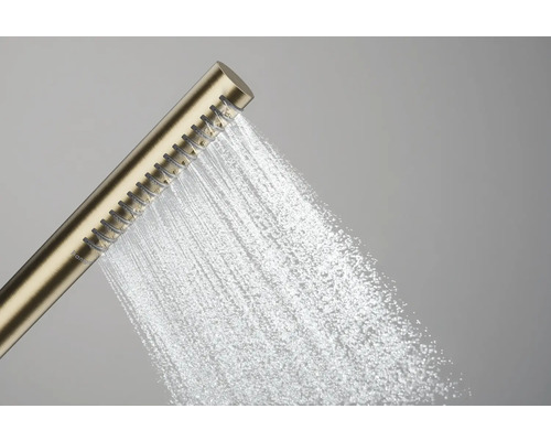 Handbrause mit Wasserstrahl