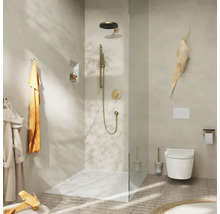 Brausestange hansgrohe Unica S Puro brushed bronze gebürstet Brausestangenlänge 663 mm mit Isiflex Brauseschlauch 1600 mm 24402140