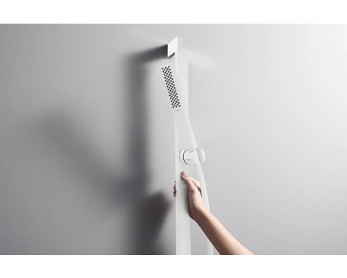 Aufputz Duschpaneel mit Handbrause und Bedienelement an der Wand