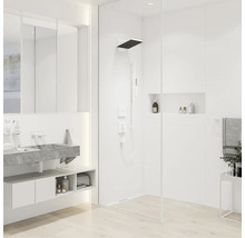Brausegarnitur hansgrohe Pulsify E 100 1jet EcoSmart weiß matt Brausestangenlänge 950 mm 24380700